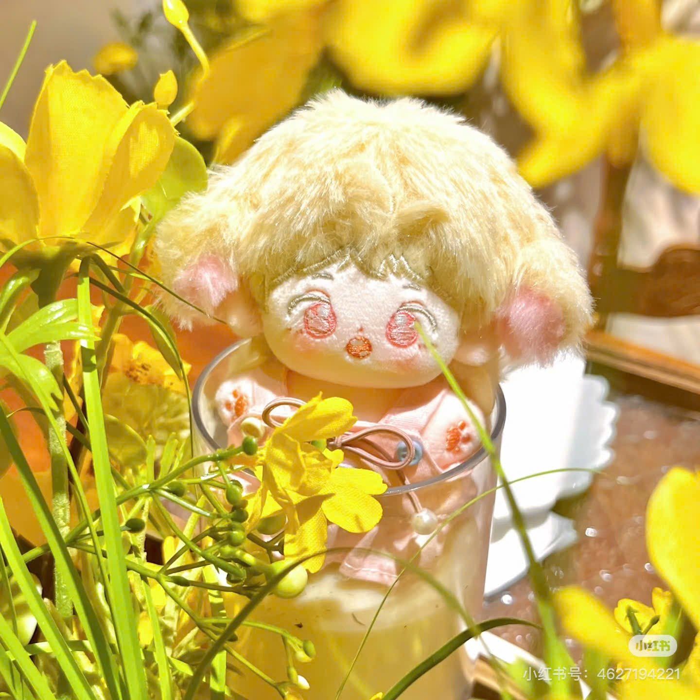 [ORDER] TỔ SỐ LIỆU - DƯƠNG BÁC VĂN - DOLL 10CM 
