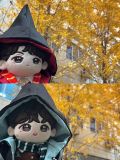  ORDER - OUTFIT 20CM HARRY POTTER 