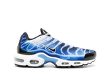  Nike Air Max Plus Light Photography Old Royal 