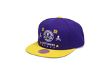  Mastermind World x Mitchell & Ness Snapback Purple Yellow 