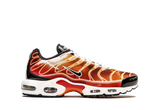  Nike Air Max Plus Light Photography 