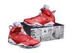  Air Jordan 6 Retro Slam Dunk 