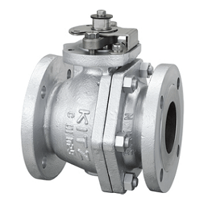 Kitz Globe Valve 10FCTB, 1/2