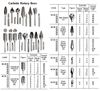 IMPA 632535, Rotary Bur Carbide Type-D, 6mm Shank/13mm Blade