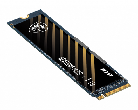  SPATIUM M390 NVMe M.2 250Gb 