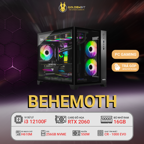  PC Gaming - Behemoth | i3 12th, 2060 