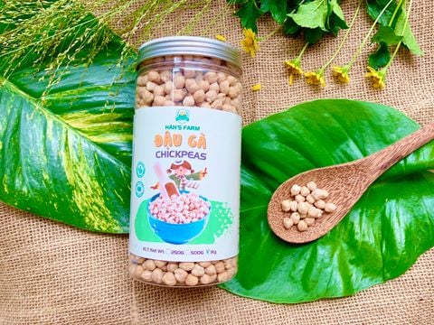  Hạt đậu gà _Chickpeas_India/Canada 