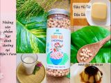  Hạt đậu gà _Chickpeas_India/Canada 