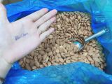  Hạnh nhân sấy nguyên vị nonpareil Mỹ loại 1 size lớn 23/25 & 25/27_ dry roasted & unsalted Almonds grade 1 size 23/25 & 25/27 