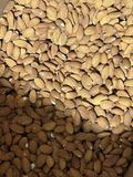  Hạnh nhân sống nonpareil Mỹ size trung 25/27_ raw almonds size 25/27 