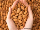  Hạnh nhân sống nonpareil Mỹ size trung 27/30_ raw almonds size 27/30 