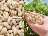  Hạt điều nguyên hạt bóc vỏ lụa rang nguyên vị size trung _ dry roasted & unsalted cashew nuts_from Viet Nam 