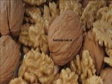  Hạt óc chó Chandler loại 1_Walnuts Chandler grade 1 _From Usa/Chile 