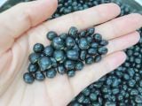  Đậu nành đen (đậu tương đen) xanh lòng không biến đổi gen hàng loại 1 - Black soybean non GMO 