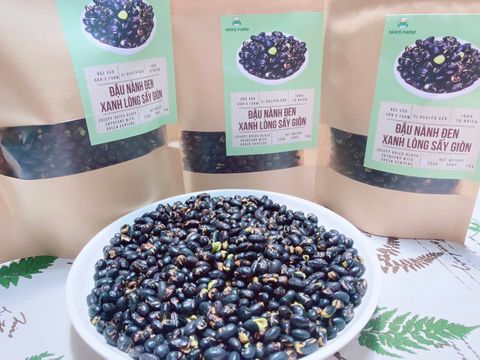  Đậu nành đen (đậu tương đen) xanh lòng sấy giòn nguyên vị loại 1 không biến đổi gen - Crispy dried Black soybean non GMO 