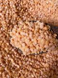  Đậu lăng đỏ sấy giòn nguyên vị - Crispy roasted red lentils 