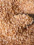  Đậu lăng đỏ sấy giòn nguyên vị - Crispy roasted red lentils 