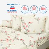  Bộ Ga Bọc Cotton Vanila (Vỏ Gối Không Lót Gòn) 456 