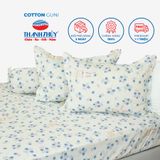  Bộ Ga Bọc Cotton Guni 98 