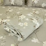  Bộ Ga Bọc Lụa Modal 117 