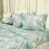  Bộ Ga Bọc Lụa Modal 127 