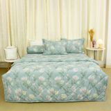  Bộ Ga Bọc Lụa Modal 127 