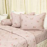  Bộ Ga Bọc Lụa Modal 137 