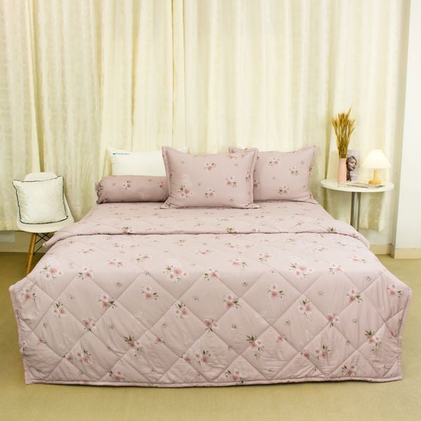  Bộ Ga Bọc Lụa Modal 137 