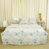  Bộ Ga Bọc Lụa Modal 97 