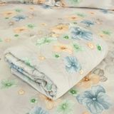  Bộ Ga Bọc Lụa Modal 97 