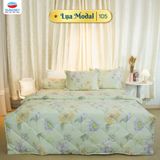  Bộ Ga Bọc Lụa Modal 105 - Chăn Ra Thanh Thủy 