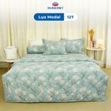  Bộ Ga Bọc Lụa Modal 127 