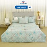  Bộ Ga Bọc Lụa Modal 45 