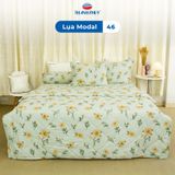  Bộ Ga Bọc Lụa Modal 46 