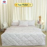  Bộ Ga Bọc Lụa Modal 57 - Chăn Ra Thanh Thủy 