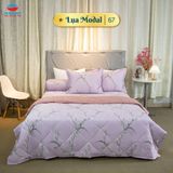  Bộ Ga Bọc Lụa Modal 67 
