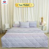  Bộ Ga Bọc Lụa Modal 7 