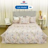  Bộ Ga Bọc Lụa Modal 96 