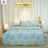  Bộ Ga Bọc Lụa Modal 99 