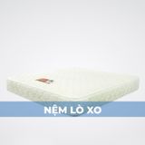  Nệm Lò Xo Túi Cao 25 cm 