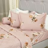  Bộ Ga Bọc Cotton Satin Deluxe 4 