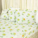  Bộ Ga Bọc Cotton Vanila (Vỏ Gối Lót Gòn) 461 