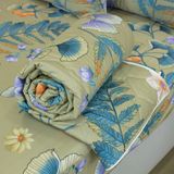  Bộ Ga Bọc Cotton Satin Luxury 343 
