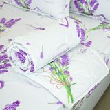  Bộ Ga Bọc Cotton Vanila (Vỏ Gối Lót Gòn) 440 