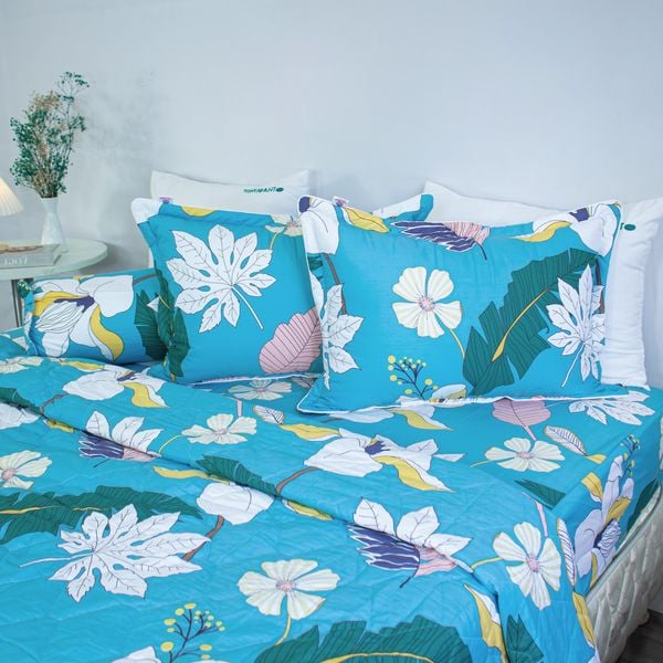  Chăn Lẻ Cotton Vanila 325 