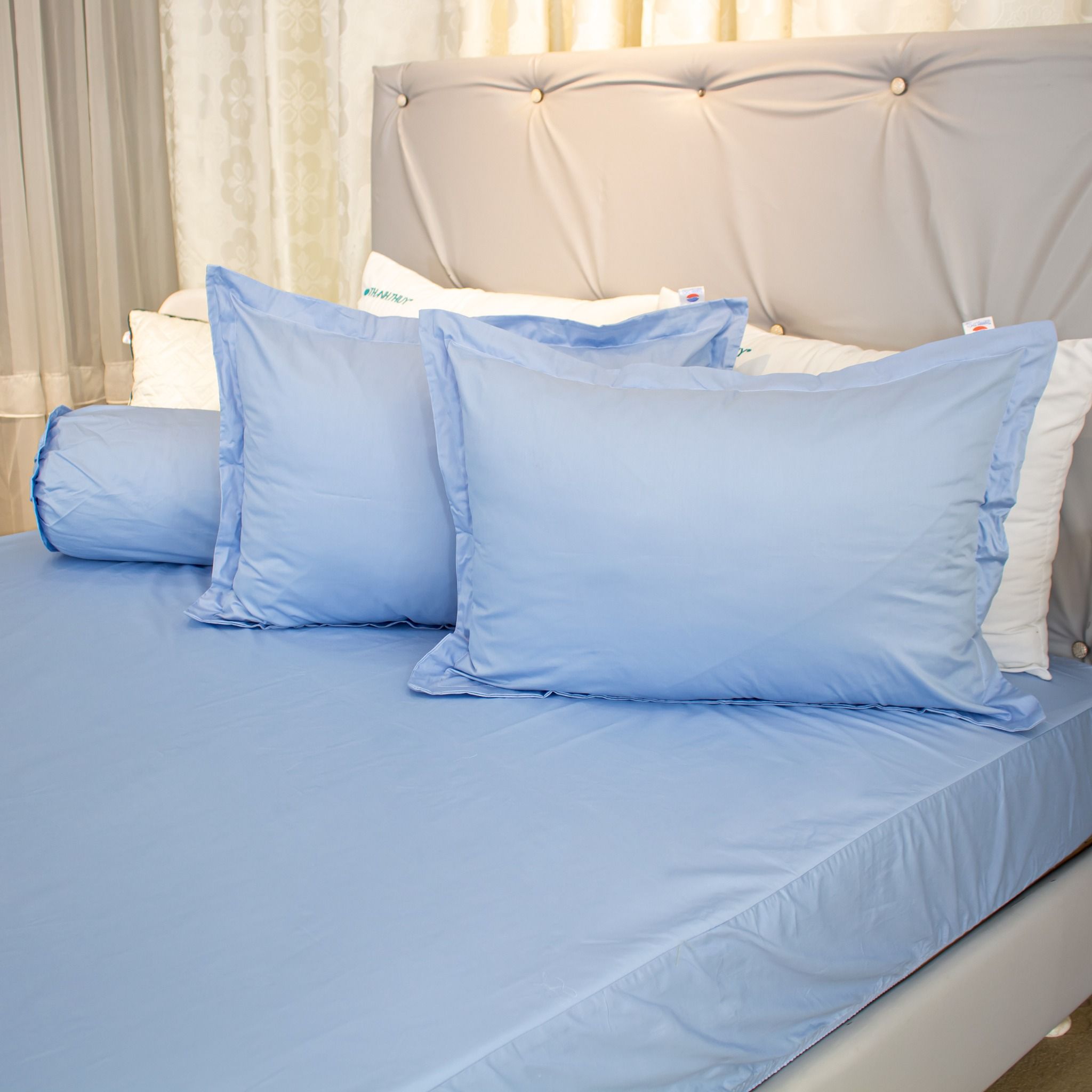  Bộ Ga Bọc Cotton Guni Màu Biển (1) 