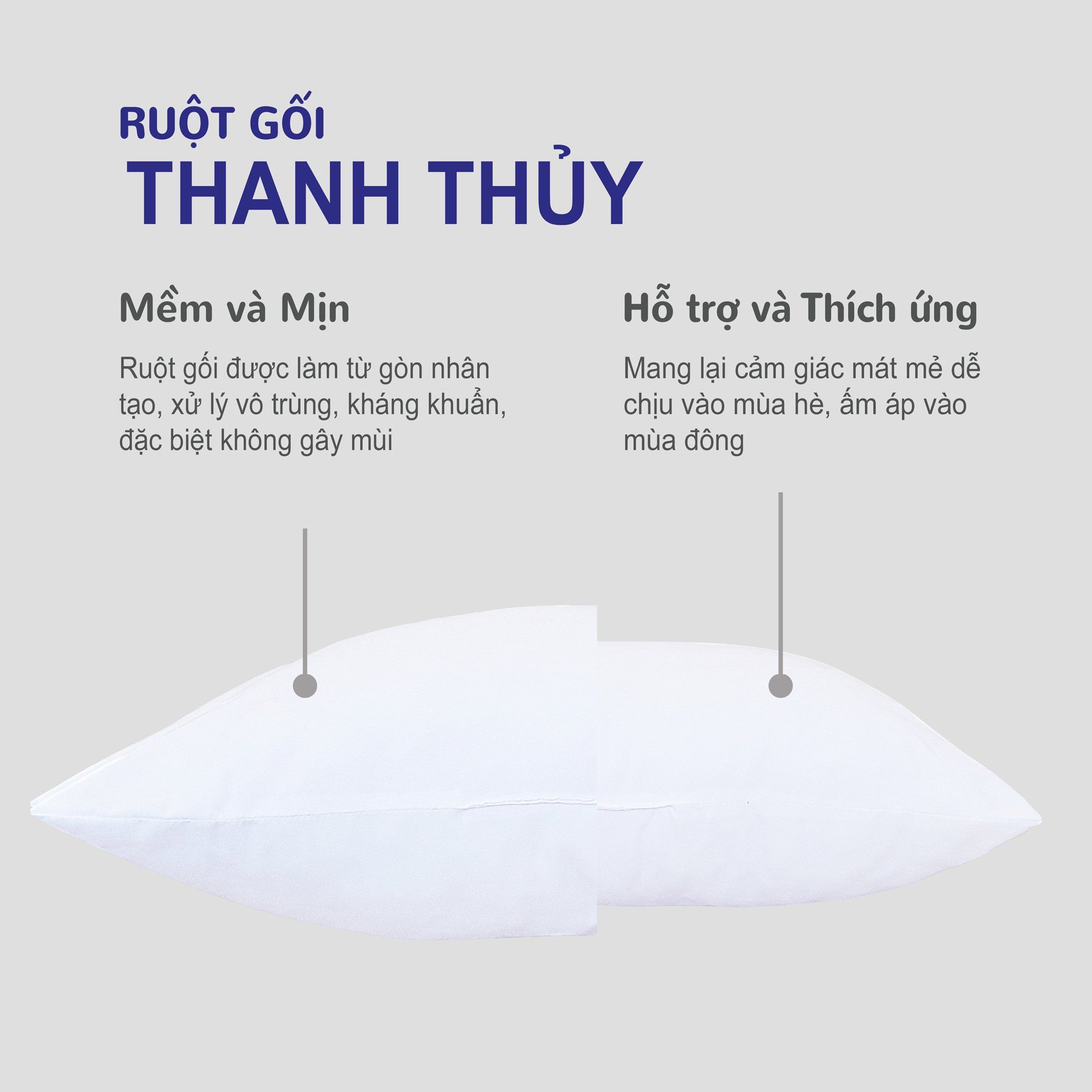  Ruột Gối Thanh Thủy 