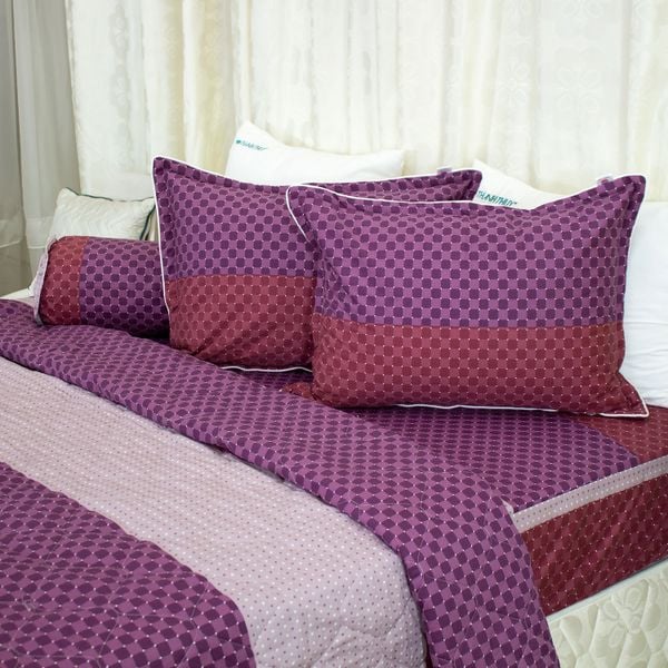  Chăn Lẻ Cotton Vanila 433 