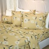  Bộ Ga Bọc Cotton Satin Deluxe 248 