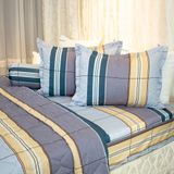  Bộ Ga Bọc Cotton Guni Họa Tiết 3 